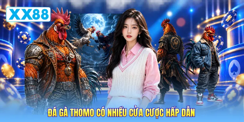 Đá gà Thomo có nhiều cửa cược hấp dẫn Đá gà Thomo có nhiều cửa cược hấp dẫn